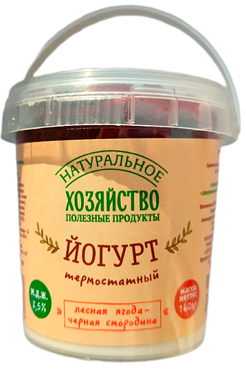 Йогурт термостатный Лесная ягода-Черная смородина 160 г БЗМЖ