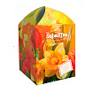 Чай «Spring Tulips» ассорти 20 пакетиков, SebasTea 30 г