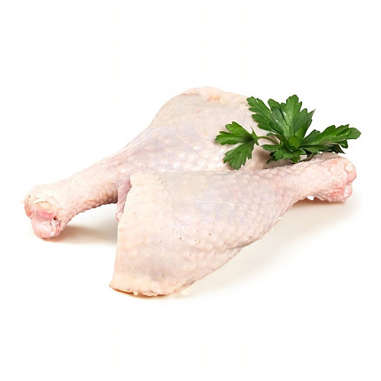 Голень индейки