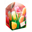 Чай «Spring Tulips» ассорти 20 пакетиков, SebasTea 30 г
